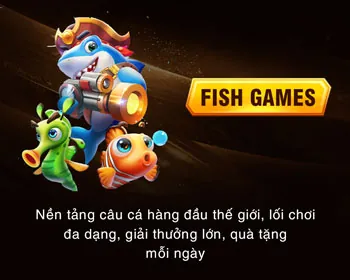 Câu hỏi thường gặp